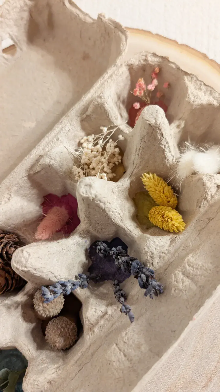 Little Sorting Tray