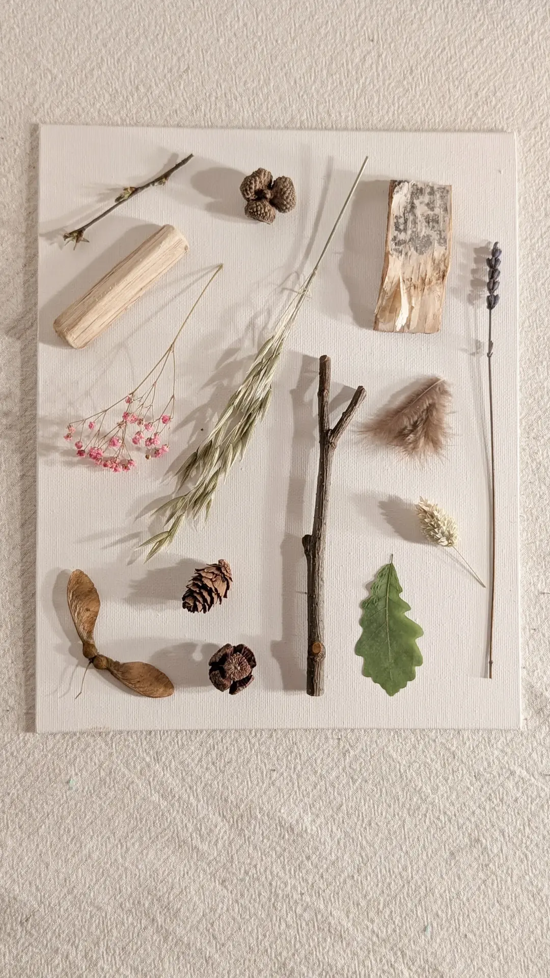 Woodland Still