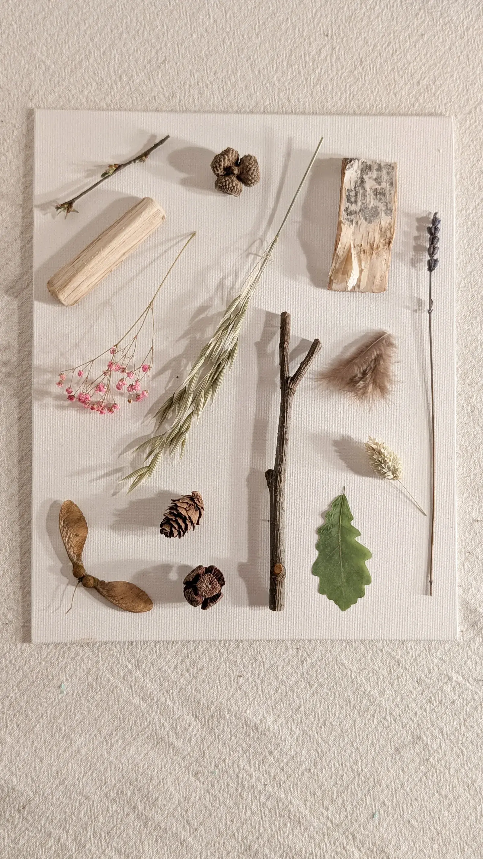 Nature collage made from leaves, twigs, moss, feathers, seed pods, and pebbles arranged on a plain background.