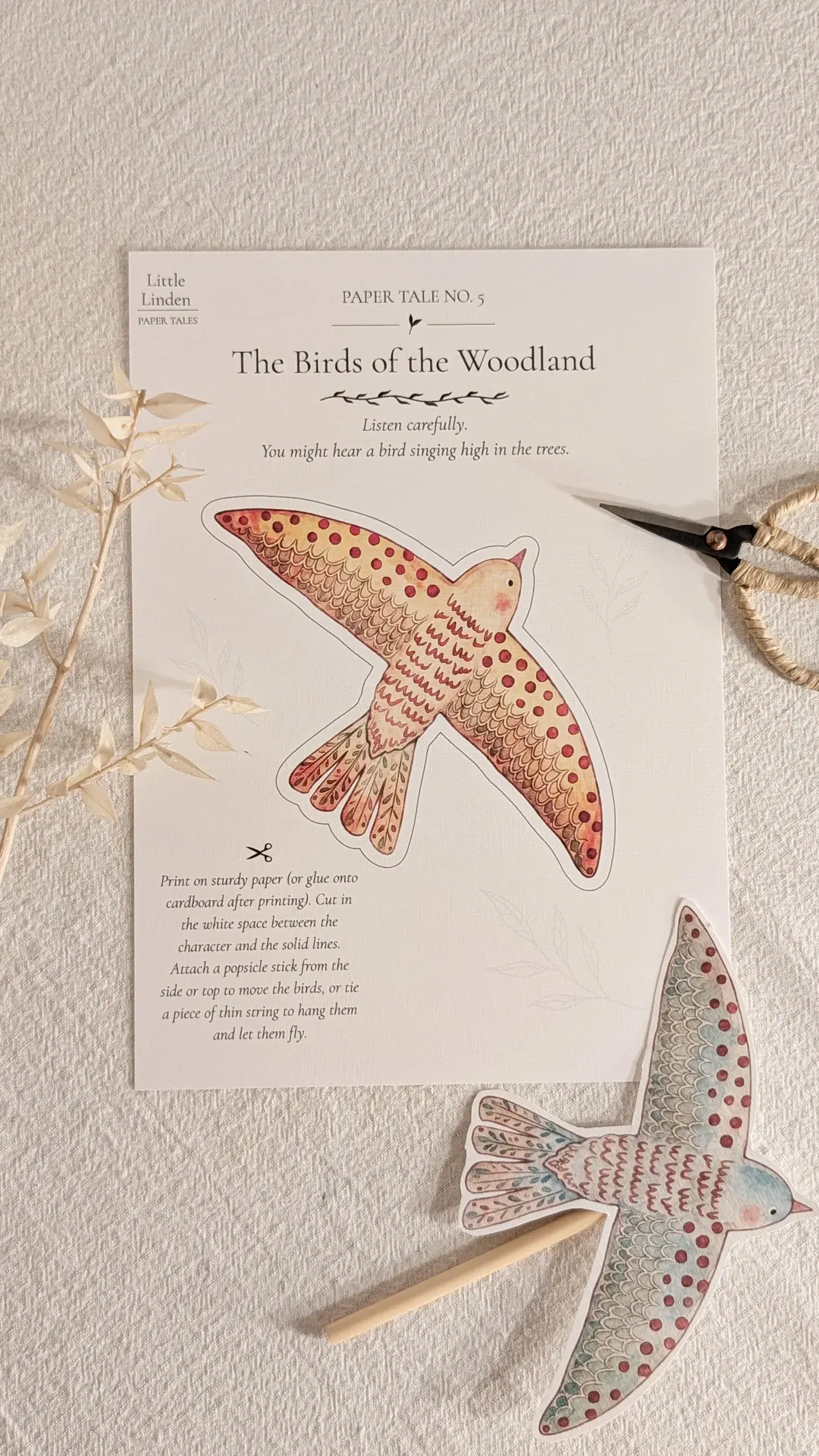 The Birds of the Woodland