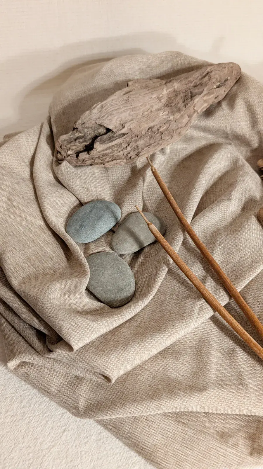 Sort & Discover: River Finds