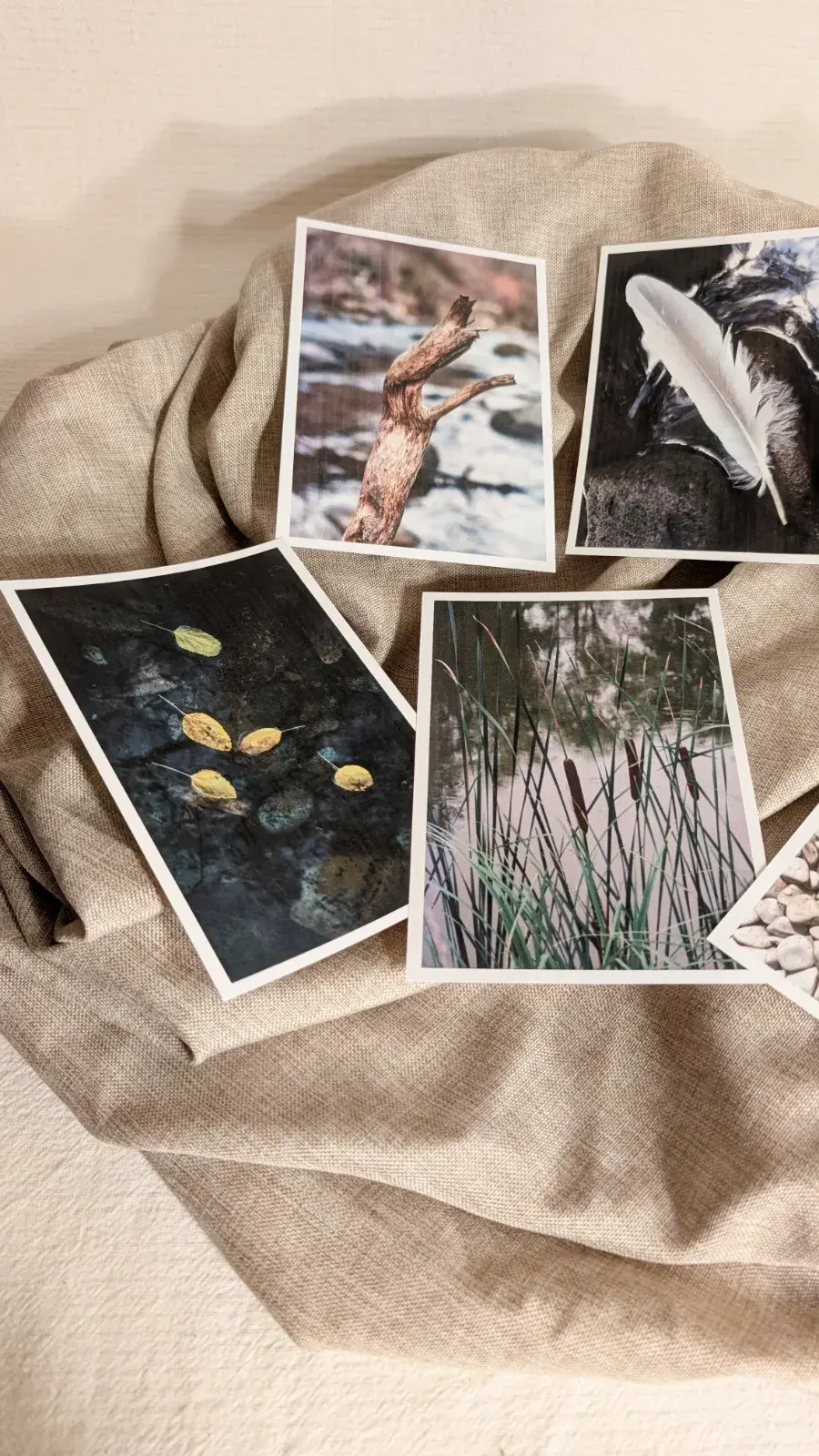 Collection of river finds including smooth stones, sticks, leaves, shells, and other natural objects ready for close observation.