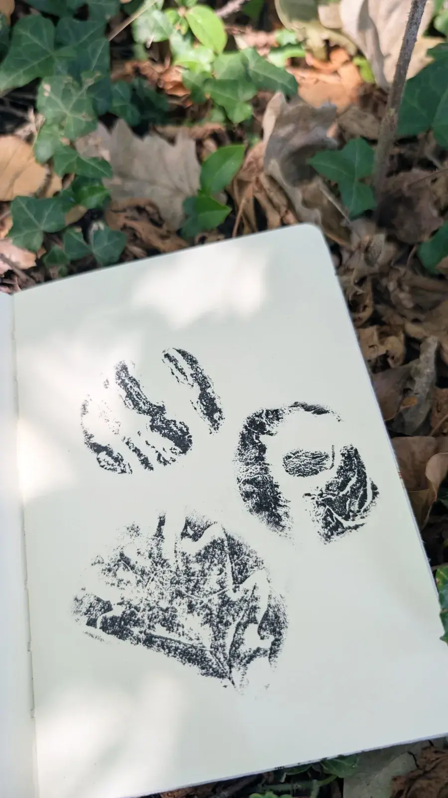 Nature textures printed onto paper with play dough and ink