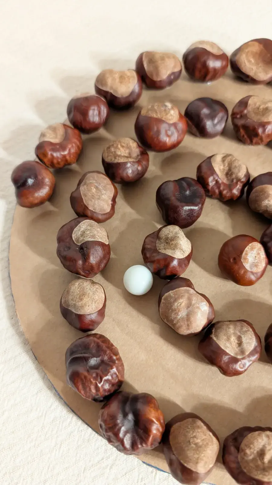 Chestnuts glued in a spiral on cardboard to make a marble maze