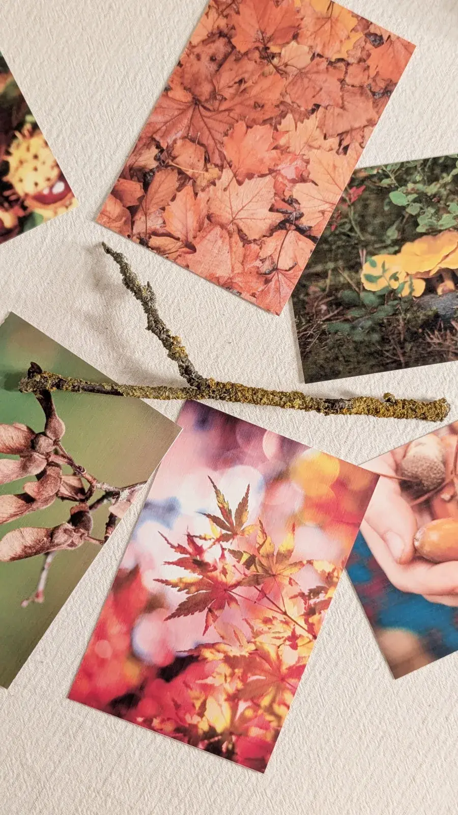 Fall nature exploration table with printables, natural treasures, and activity materials